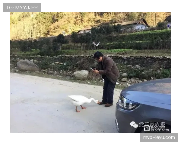 伊布今儿又动手了，好家伙，这生活细节普通人真想象不到啊！